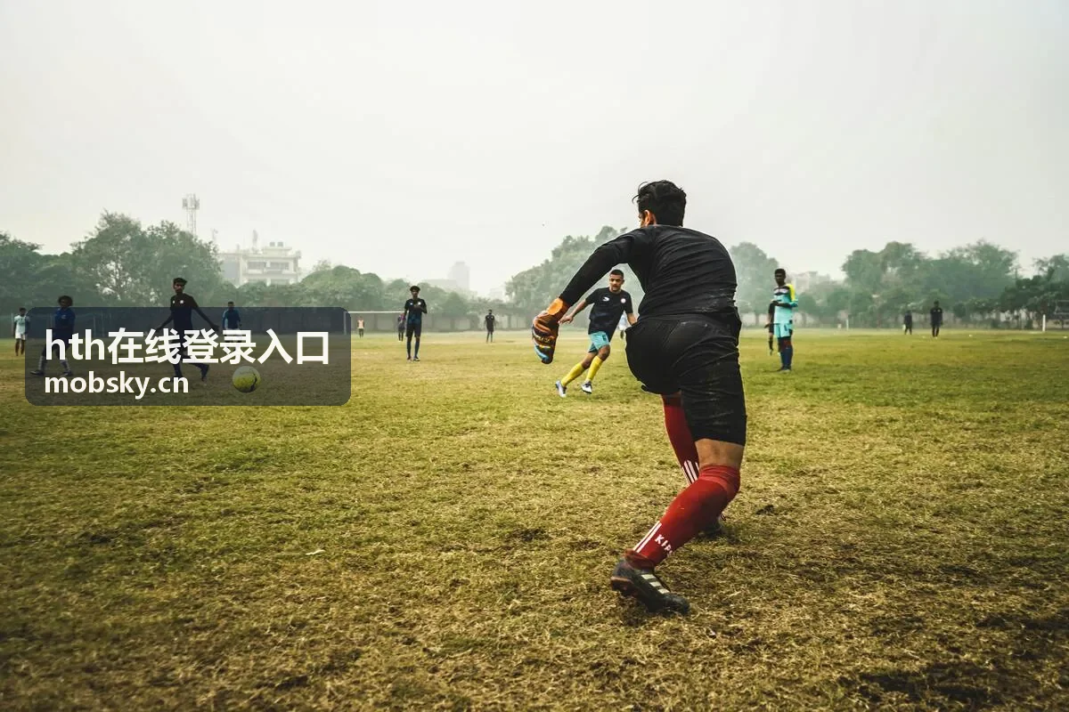 hth在线登录入口日常访问场景示意
