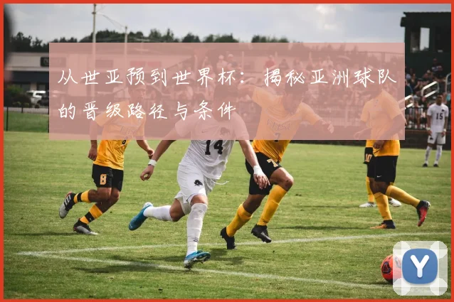 从世亚预到世界杯：揭秘亚洲球队的晋级路径与条件
