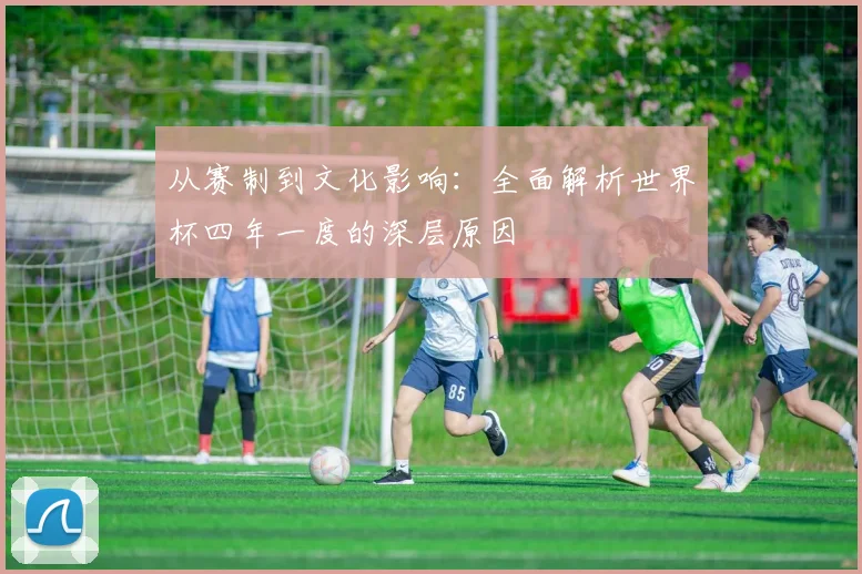 从赛制到文化影响：全面解析世界杯四年一度的深层原因