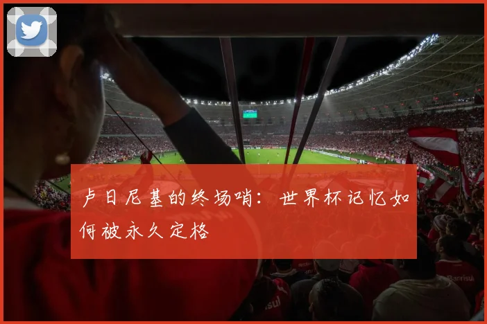 卢日尼基的终场哨：世界杯记忆如何被永久定格