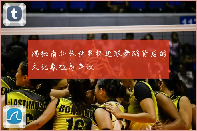 揭秘南非队世界杯进球舞蹈背后的文化象征与争议