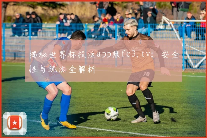 揭秘世界杯投注app颊fc3,tv:安全性与玩法全解析