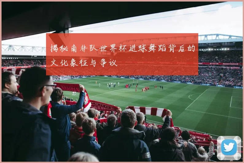 揭秘南非队世界杯进球舞蹈背后的文化象征与争议