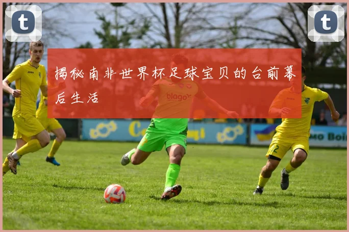 揭秘南非世界杯足球宝贝的台前幕后生活